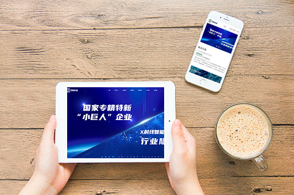 企業(yè)網(wǎng)站