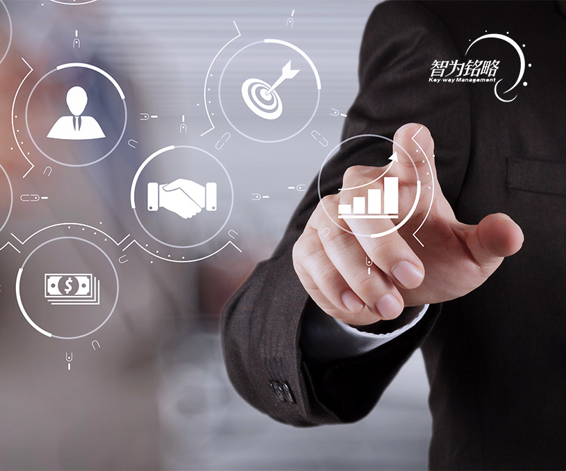 蘇州智為銘略企業(yè)管理有限公司營銷型網(wǎng)站開發(fā)建設(shè)制作案例