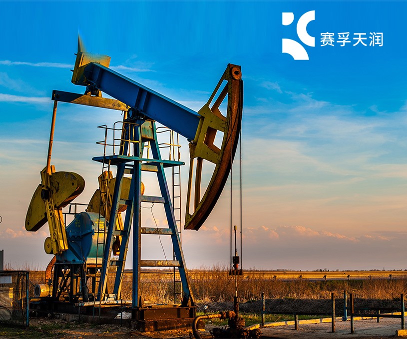 無錫市賽孚石油制品有限公司品牌網(wǎng)站制作開發(fā)建設(shè)案例