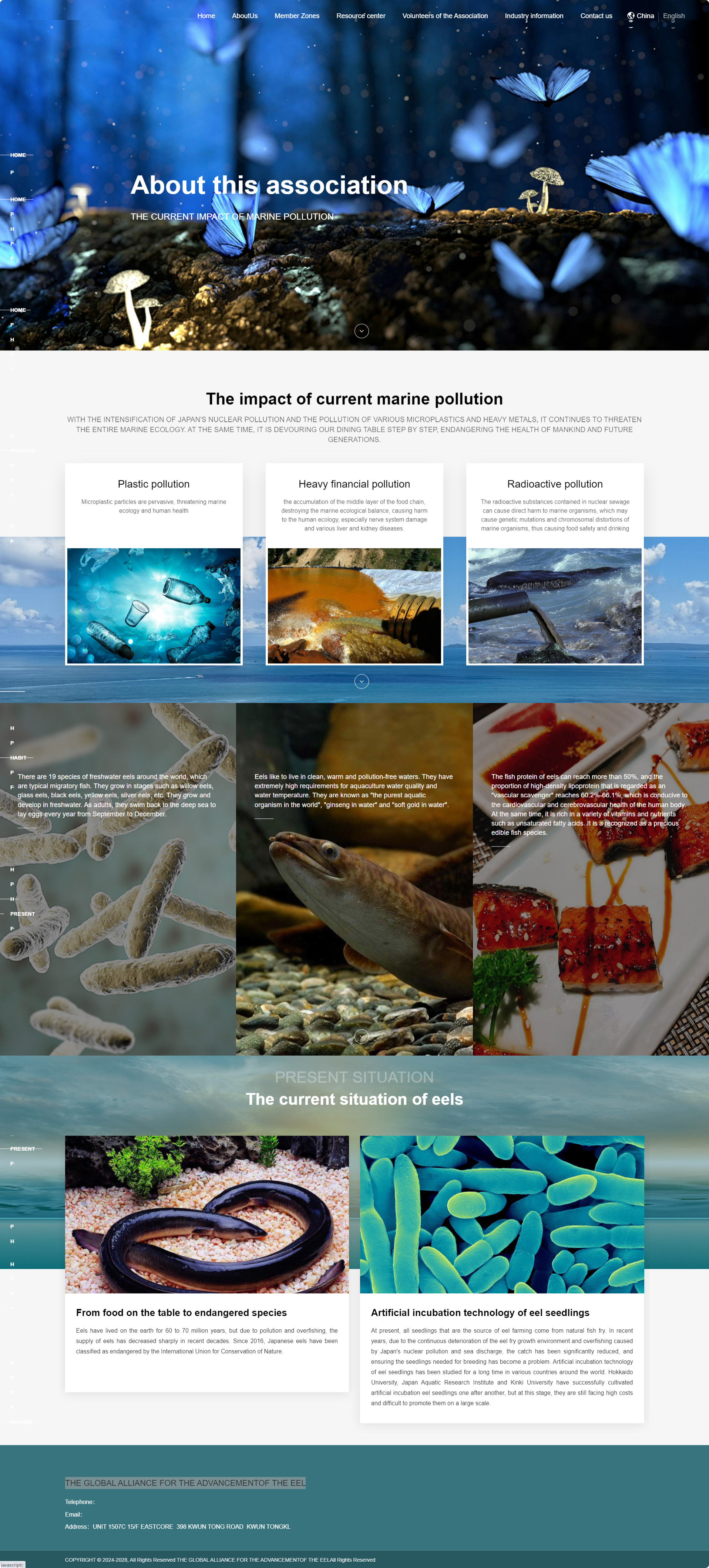 全球鰻魚(yú)進(jìn)步聯(lián)盟英文企業(yè)官網(wǎng)建設(shè)制作定制案例 PC端預(yù)覽圖