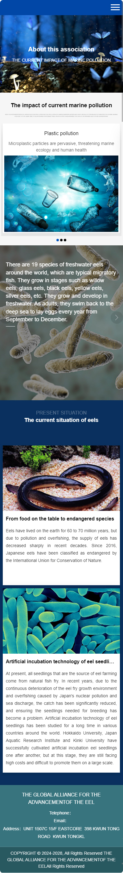 全球鰻魚(yú)進(jìn)步聯(lián)盟英文企業(yè)官網(wǎng)建設(shè)制作定制案例 手機(jī)端預(yù)覽圖