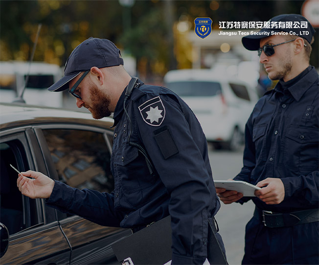 江蘇特察保安服務有限公司企業(yè)官網設計建設制作案例