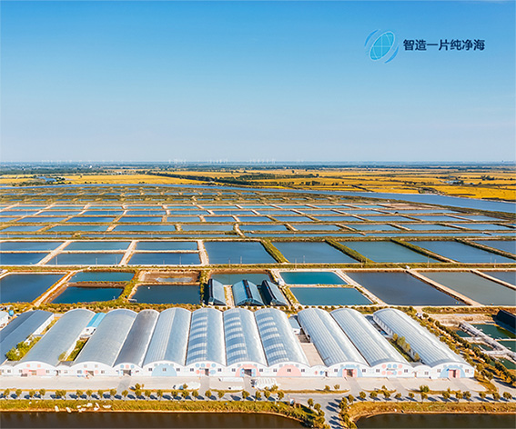 廣東橫琴粵澳深度合作區(qū)兆海智慧云科技有限公司集約養(yǎng)殖品牌網(wǎng)站制作建設案例