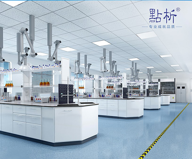 南京點析實驗儀器有限公司品牌網(wǎng)站制作開發(fā)建設(shè)案例